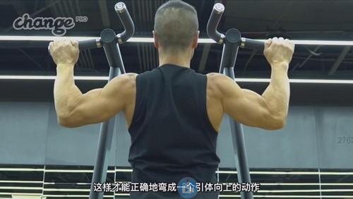 杨新民健美课程 百度网盘保存 杨新民健美课程 百度网盘保存