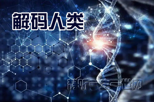 �������ࣨ��ᣩ