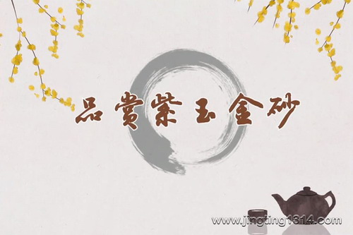 2023年百家讲坛品赏紫玉金砂 2023年百家讲坛品赏紫玉金砂