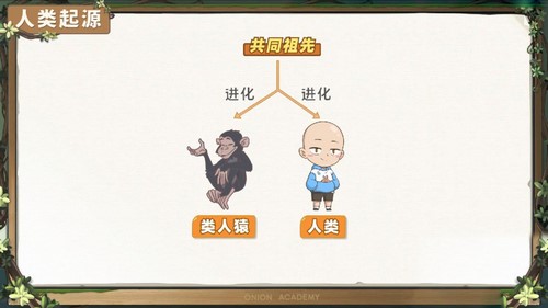 洋葱学园2023人教版初中生物七年级下册(初一)(1.06G高清视频)百度网盘保存 洋葱学园2023人教版初中生物七年级下册(初一)(1.06G高清视频)百度网盘保存