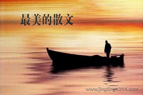 ������ɢ�� 56ƪ����ɢ�Ĵ�Ҿ�Ʒ����