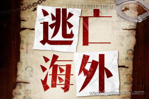 ��ҹ�糡���������� ����ͨ5�š�ͨ������������ �����󰸼�ʵ ���ܹ�Ա��ʵ