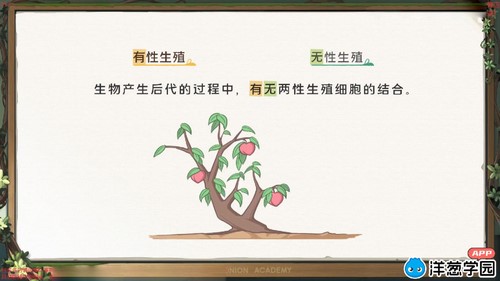 ���ѧ԰2023�ս̰����������꼶�²ᣨ��������767M������Ƶ���ٶ����̱���