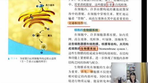 2024年高考生物周芳煜直播答疑课(高三)(695M高清视频)百度网盘保存 2024年高考生物周芳煜直播答疑课(高三)(695M高清视频)百度网盘保存