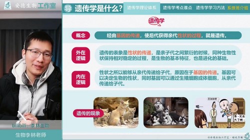 2024ѧ���һ�������ֱ��޶�ͬ���Σ�37.4G������Ƶ���ٶ����̱���