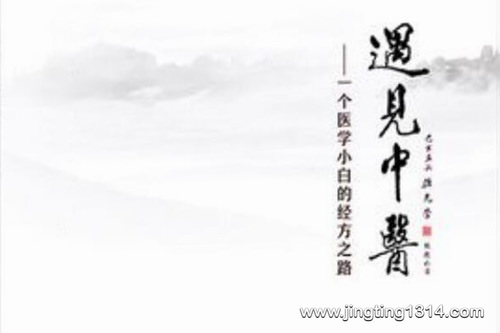 中医陈孝和:遇见中医 一个中医小白的三年经方路(中医养生) 中医陈孝和:遇见中医 一个中医小白的三年经方路(中医养生)