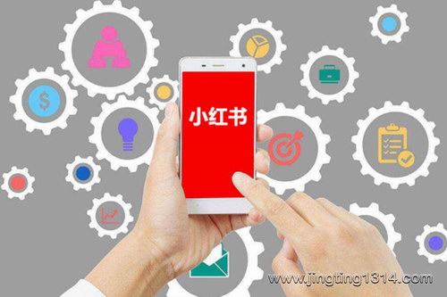 С��������ѵ��Ӫ��21��С�����Ƿ۱��ּƻ�����ᣩ