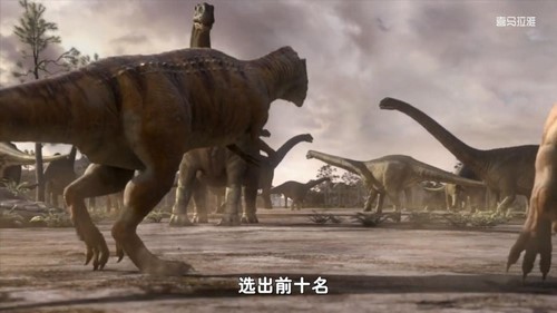 ֪ʥ�������ռǣ����������� �ٶ����̱���