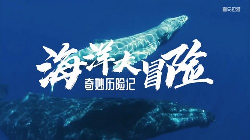 ֪ʥ�������ռǣ����������ð�� �ٶ�����