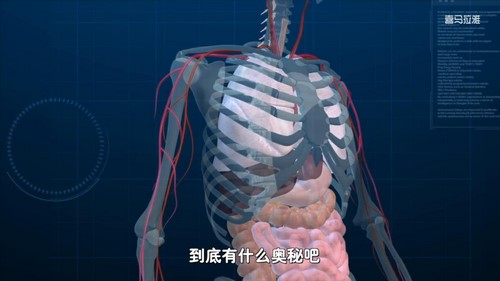 ֪ʥ�������ռǣ��Ƕ�һ���Σ��� �� ���ࣩ�������ٿ��� �ٶ����̱���