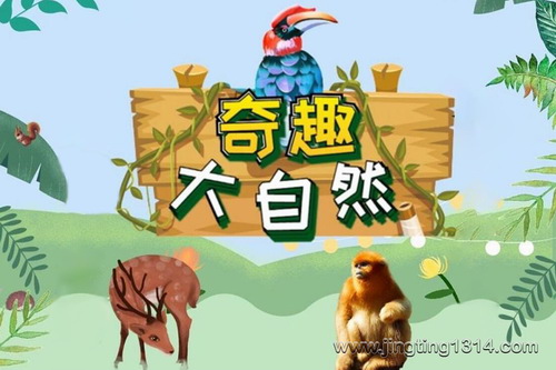 企鹅童话:奇趣大自然_必听科普百科 企鹅童话:奇趣大自然_必听科普百科