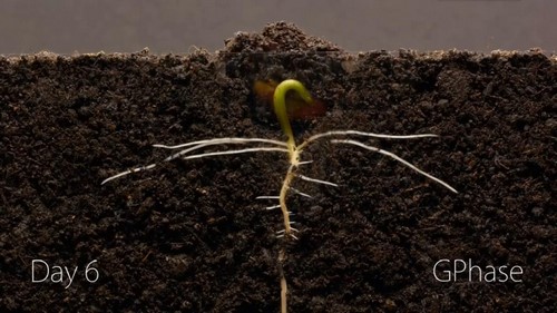 七彩课堂教科版科学五年级下册教学课件 百度网盘保存 七彩课堂教科版科学五年级下册教学课件 百度网盘保存