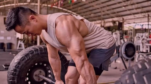 һ����ˣ�������̬����Ӫ����ᣩ�ٶ����̱���