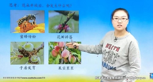 简单学习网初二生物同步提高下学期课程 百度网盘保存 简单学习网初二生物同步提高下学期课程 百度网盘保存