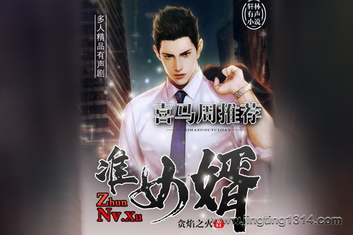 准女婿 最强上门龙婿赘婿(轩林演播) 准女婿 最强上门龙婿赘婿(轩林演播)