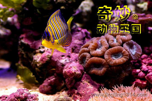 ���ͯ��00������Ķ�������_�ض�����