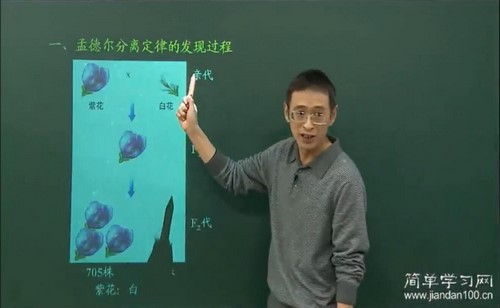 简单学习网高一生物同步必修2(林祖荣)百度网盘保存 简单学习网高一生物同步必修2(林祖荣)百度网盘保存