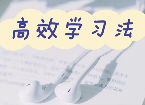 �ǻҼ�ѧϰ���ֲ�Ը˵�ĸ�Чѧϰ����PDF����ᣩ�ٶ����̱���