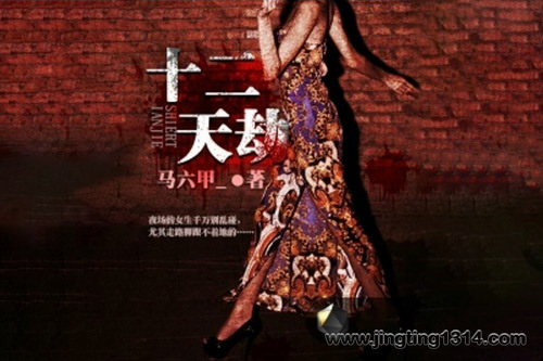 《十二天劫》逗比捉鬼人(轩林演播) 《十二天劫》逗比捉鬼人(轩林演播)