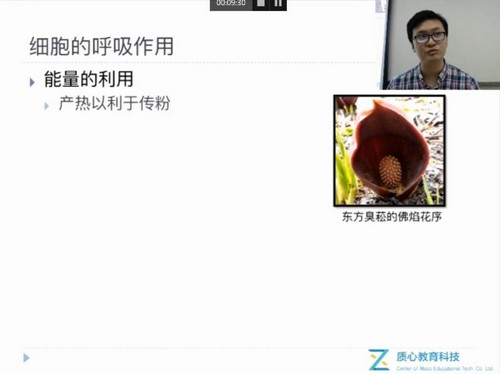 ���Ľ���2017���ﾺ������ϸ�����ڰ�ʸ����ʦ �ٶ����̱���