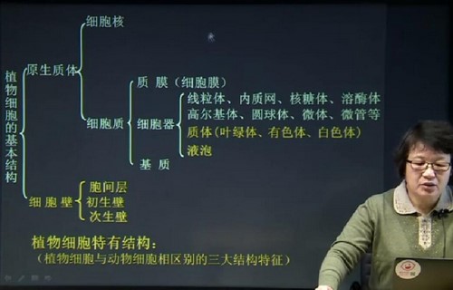 北斗植物解剖(生物竞赛植物学)百度网盘保存 北斗植物解剖(生物竞赛植物学)百度网盘保存