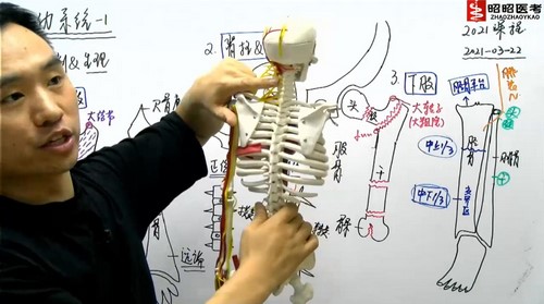 2021昭昭医考基础精讲班运动系统(4.79G高清视频)百度网盘 2021昭昭医考基础精讲班运动系统(4.79G高清视频)百度网盘