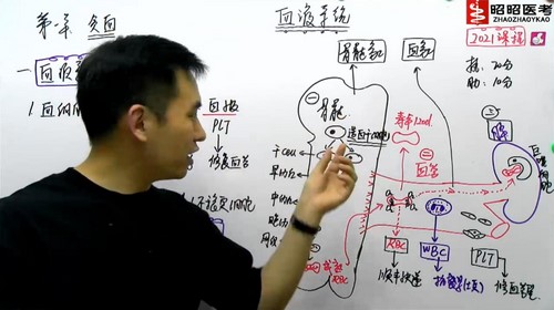 2021����ҽ������������ѪҺϵͳ��5.84G������Ƶ���ٶ����̱���