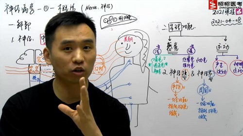 2021����ҽ�������������񾭾���ϵͳ��7.66G������Ƶ���ٶ����̱���