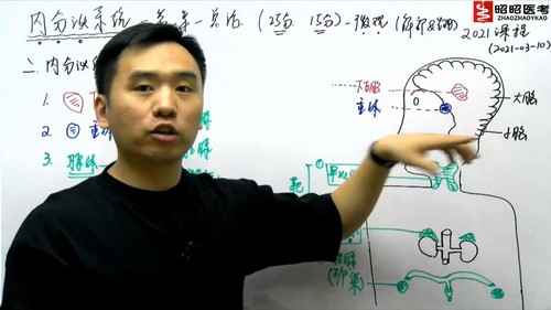 2021昭昭医考基础精讲班内分泌系统(4.78G高清视频)百度网盘 2021昭昭医考基础精讲班内分泌系统(4.78G高清视频)百度网盘