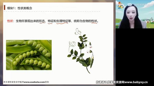 ��;2023ѧ���һ���������󴺼��ࣨ3.09G������Ƶ���ٶ����̱���