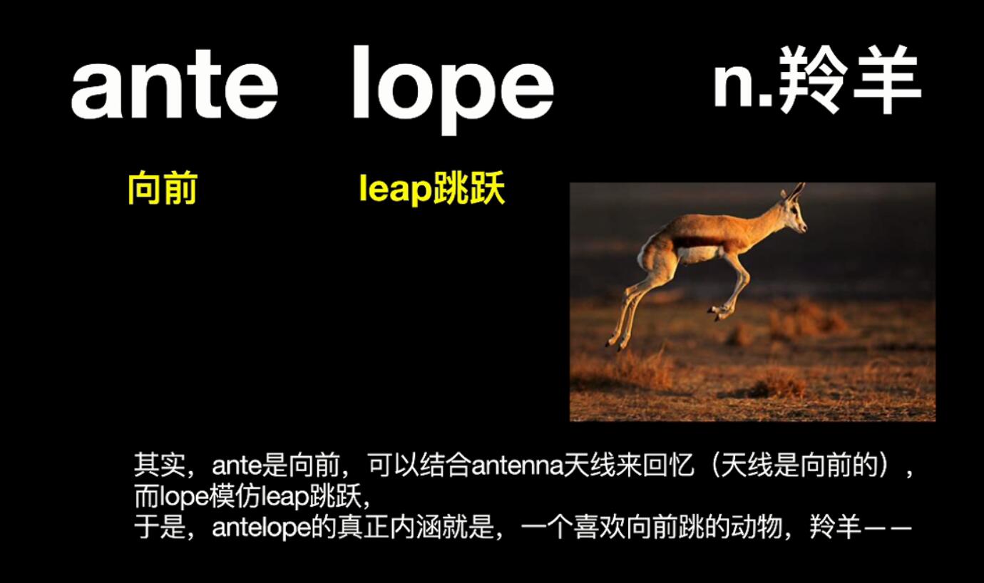 刘一男摩卡3500词智慧小视频(8.42GB超清视频)百度网盘 刘一男摩卡3500词智慧小视频(8.42GB超清视频)百度网盘