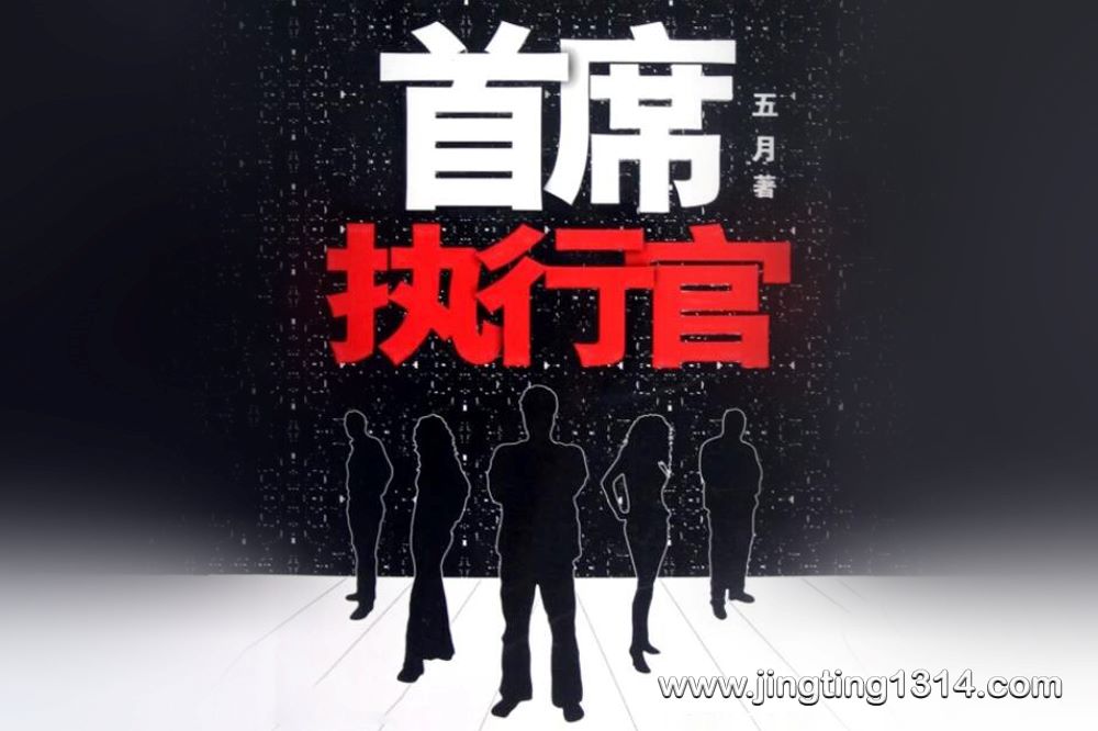 首席执行官(29集全) 首席执行官(29集全)