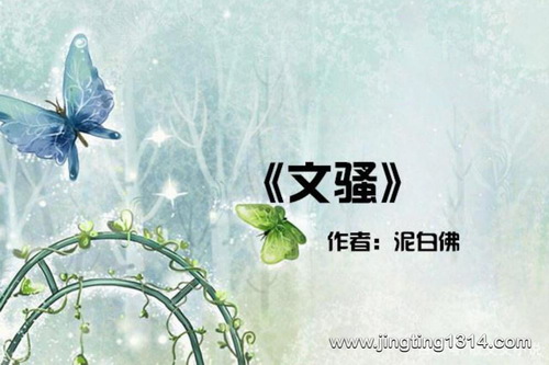 ��ɧ�����˾�ƷС˵��