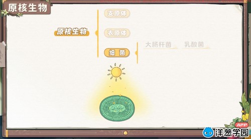 洋葱学园2023人教版高中生物必修一(1.19G高清视频)百度网盘保存 洋葱学园2023人教版高中生物必修一(1.19G高清视频)百度网盘保存