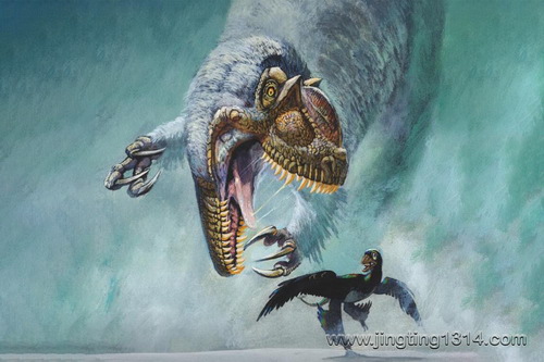 PNSO���������������ǣ���ѧС˵ð�չ��£�