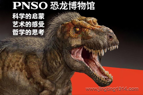 PNSO恐龙大王:PNSO恐龙博物馆(儿童科普百科) PNSO恐龙大王:PNSO恐龙博物馆(儿童科普百科)