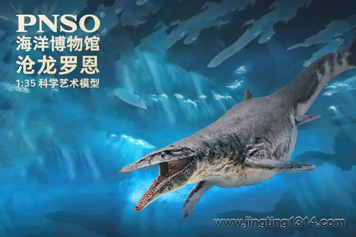 PNSO����������PNSO������ݣ���ͯ���� ������֪ʶ��