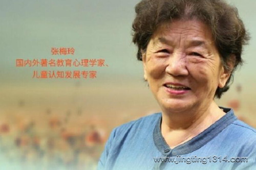 父母教育孩子的智慧(著名教育心理学家张梅玲主讲) 父母教育孩子的智慧(著名教育心理学家张梅玲主讲)