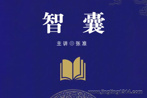 智囊 凝结中国古代智慧的处世奇书(张准主讲) 智囊 凝结中国古代智慧的处世奇书(张准主讲)