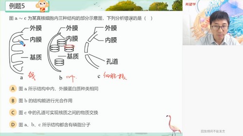 希望学2023学年高一生物全国版张继光暑期A+班(秋上 原学而思 3.06G高清视频)百度网盘 希望学2023学年高一生物全国版张继光暑期A+班(秋上 原学而思 3.06G高清视频)百度网盘
