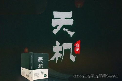 天机:清朝皇权交接实录 天机:清朝皇权交接实录