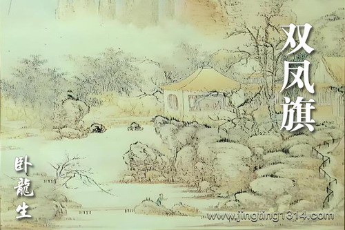 卧龙生武侠小说《双凤旗》(经典武侠) 卧龙生武侠小说《双凤旗》(经典武侠)