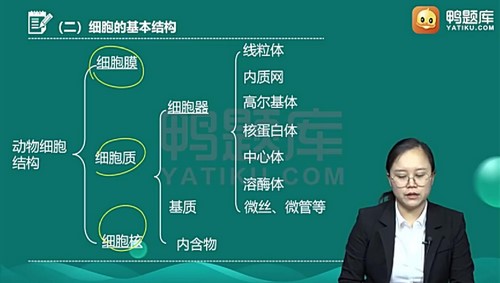 医学类考试:鸭题库2022放射医学技术(中级)(2.35G标清视频)百度网盘保存 医学类考试:鸭题库2022放射医学技术(中级)(2.35G标清视频)百度网盘保存