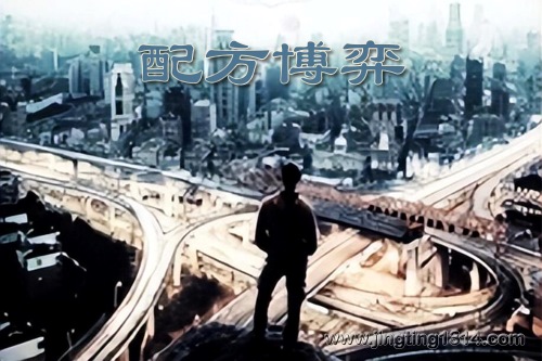 配方博弈(45集全) 配方博弈(45集全)