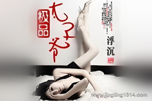 极品太子爷(作者:浮沉 演播:晋麟同学) 极品太子爷(作者:浮沉 演播:晋麟同学)