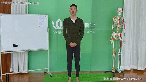 瑜伽解剖与安全习练(3.06G高清视频)百度网盘保存 瑜伽解剖与安全习练(3.06G高清视频)百度网盘保存