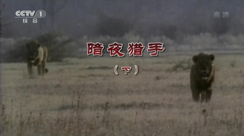 ������涯������106����137G������Ƶ���ٶ����̱���