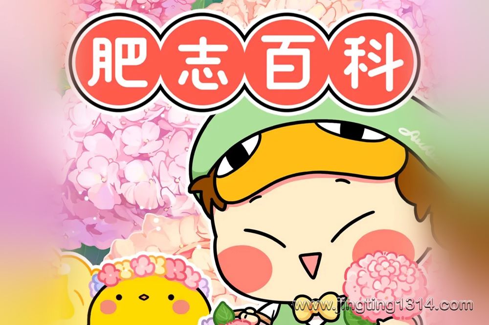 听故事轻松涨知识:肥志百科(1-8季) 听故事轻松涨知识:肥志百科(1-8季)