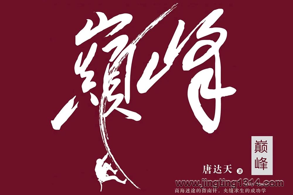 巅峰 唐达天作品(叶听风、阿手出品商战大剧) 巅峰 唐达天作品(叶听风、阿手出品商战大剧)