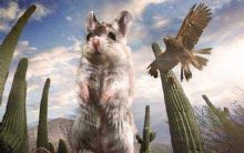 BBC.Hidden.Kingdoms��������������2014 ����1